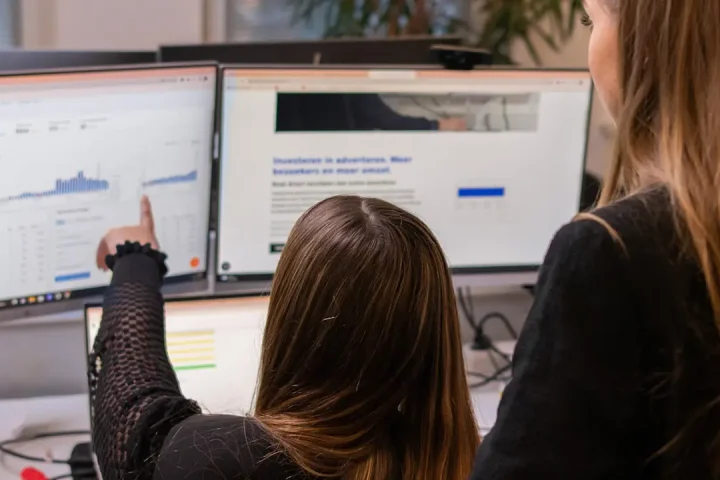 SEO Analyse